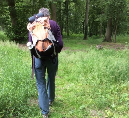 Balade insolite en Forêt