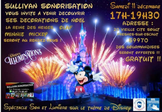 Spectacle son et lumière sur le thème de Disney ! Avec Mini Feu d’artifice !