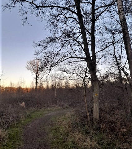 Une balade paysagère et botanique accompagnée par le Parc