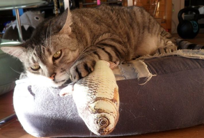 Soirée Enquête Criminelle