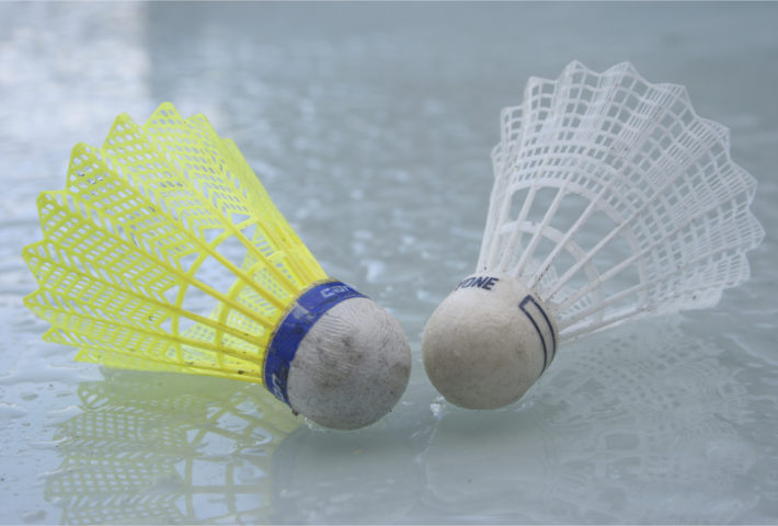 Club BADMINTON Loisirs, Brillon