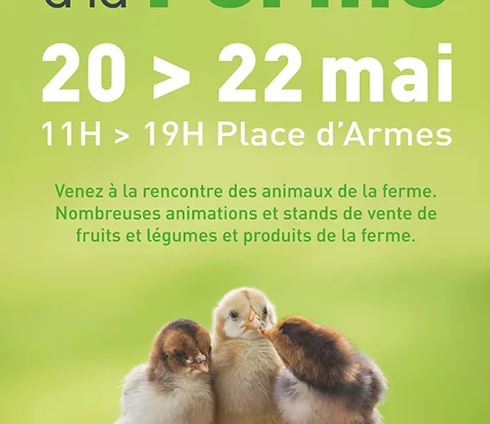 Ferme pédagogique Valenciennes, du 20 au 22