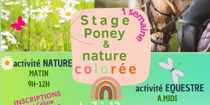 Stage PONEYS et NATURE colorée