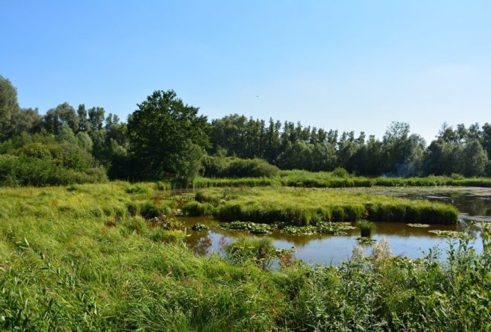Chantier solidaires Marchiennes