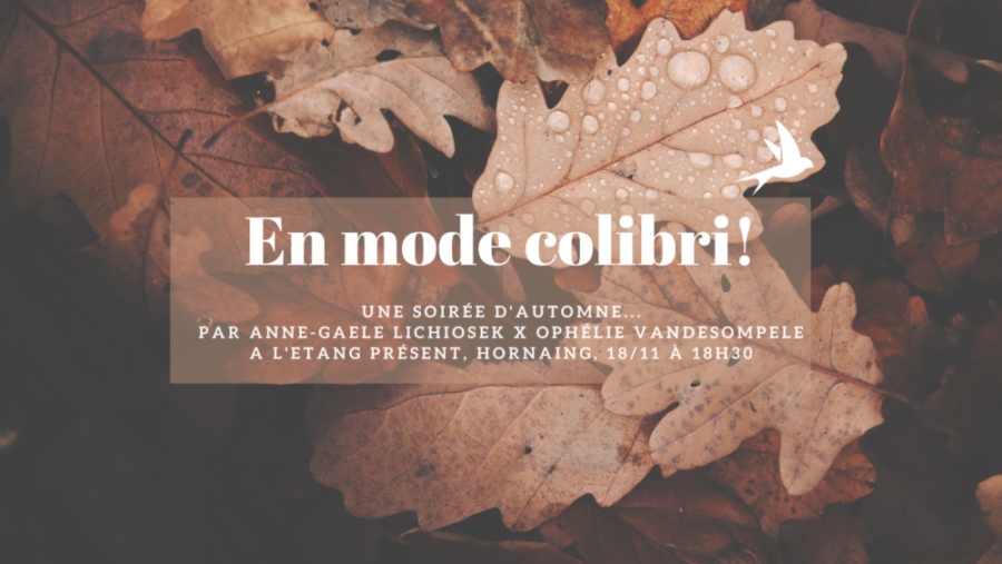 Soirée « En mode colibri! », l’Etang Présent, Hornaing