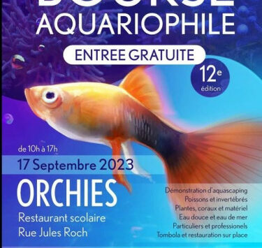 Bourse aquariophile, marine et récifale à Orchies