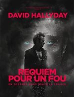 David Hallyday Concert Lille 2024