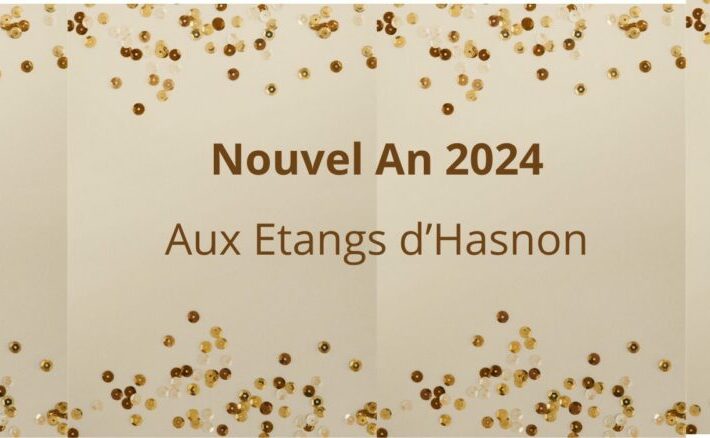 Soirée Nouvel an Valenciennes : ambiance festive et convivialité